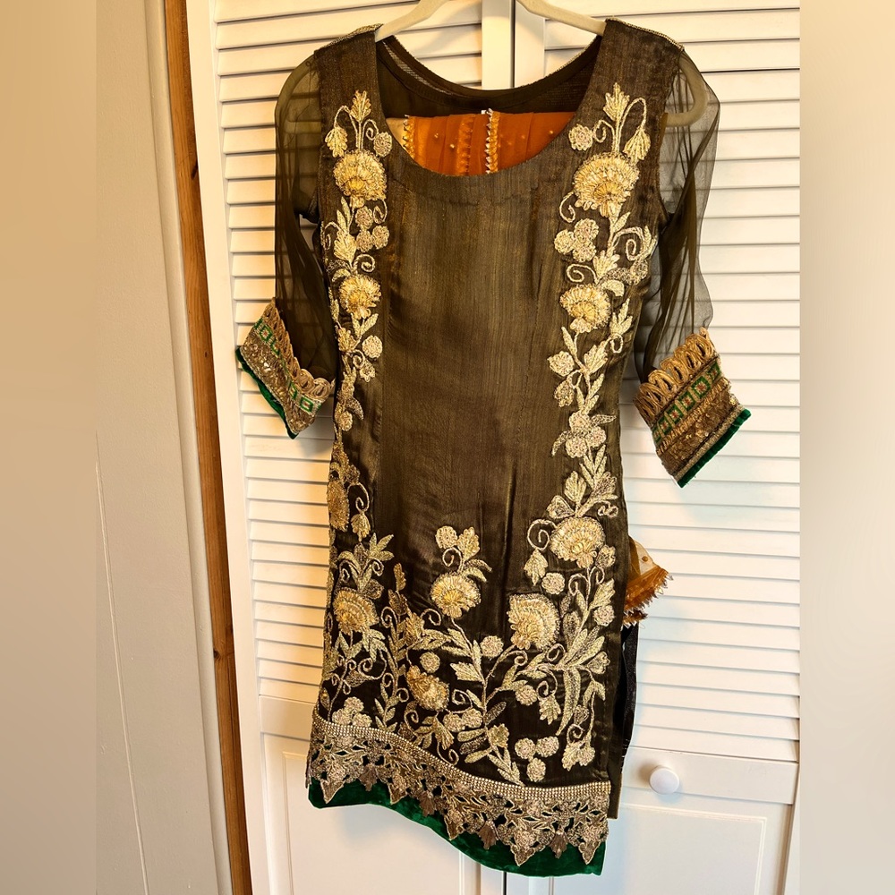 Embroidered designer party dress. Organza with velvet on bottom and sleeves.